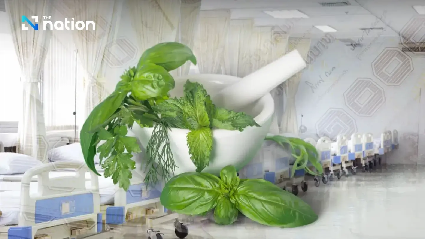 Public Health Ministry promotes Thai traditional medicine