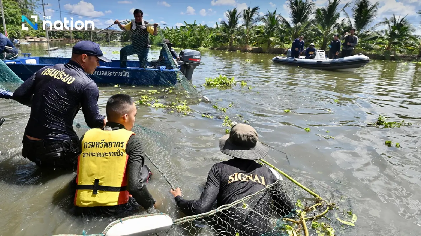 Samut Sakhon fights to save ecosystem from blackchin tilapia invasion