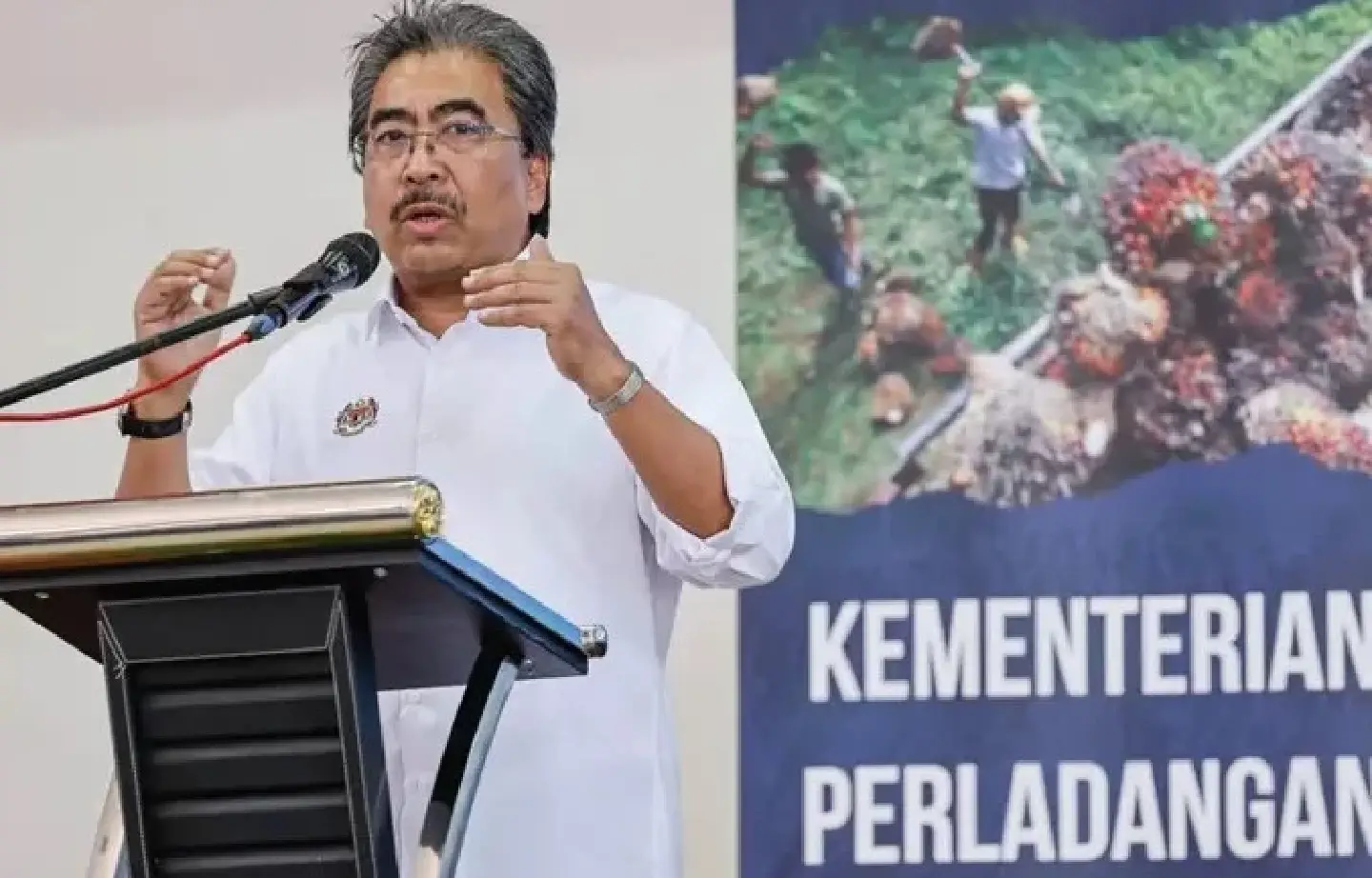 Malaysia halts new oil palm plantations to preserve forest cover Malaysia halts new oil palm plantations to preserve forest cover