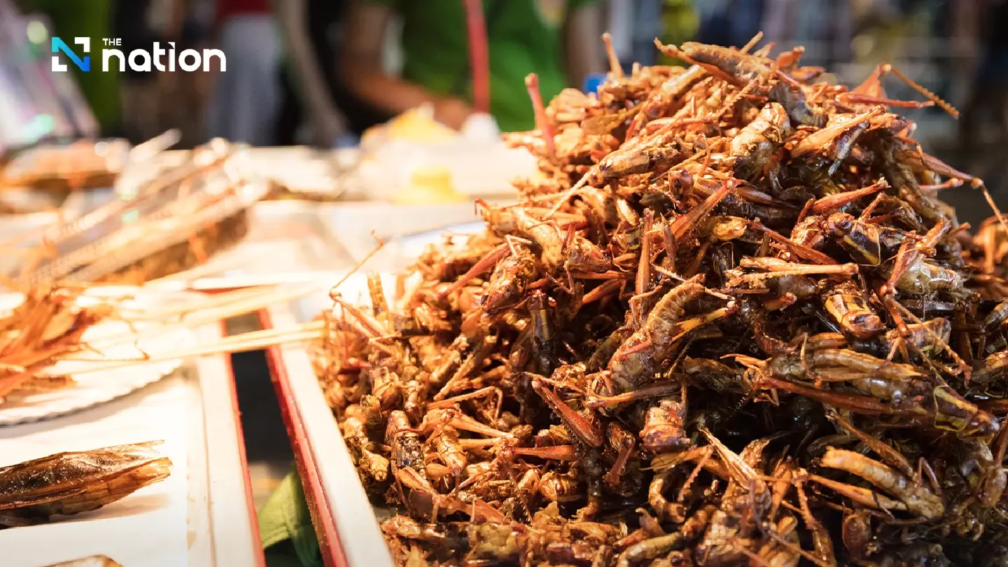 Singapore market offers enormous scope for Thai insect exporters