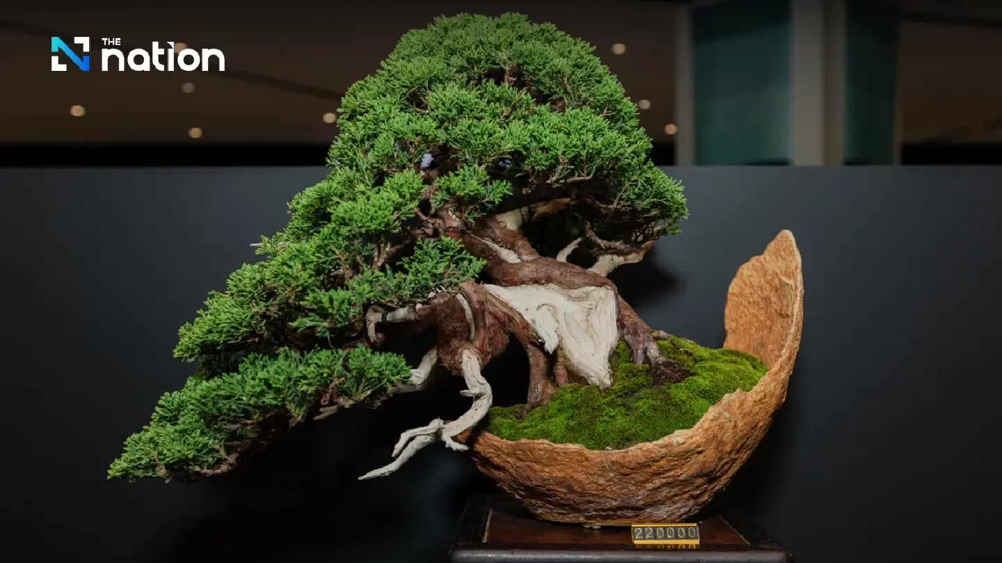 Small is beautiful: Japanese bonsai trees go on show Small is beautiful: Japanese bonsai trees go on show