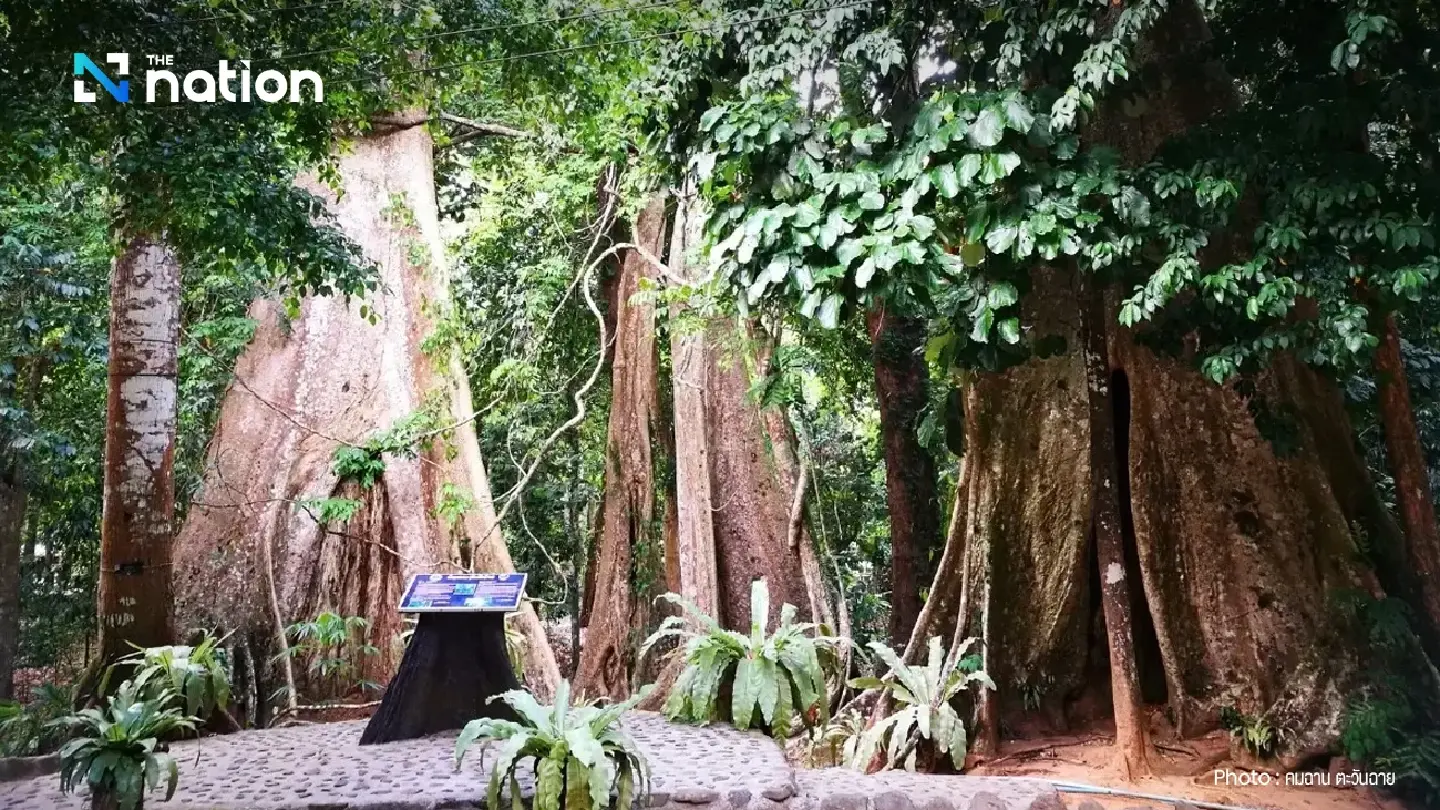 Harvesting filming locations as Thailand’s soft power