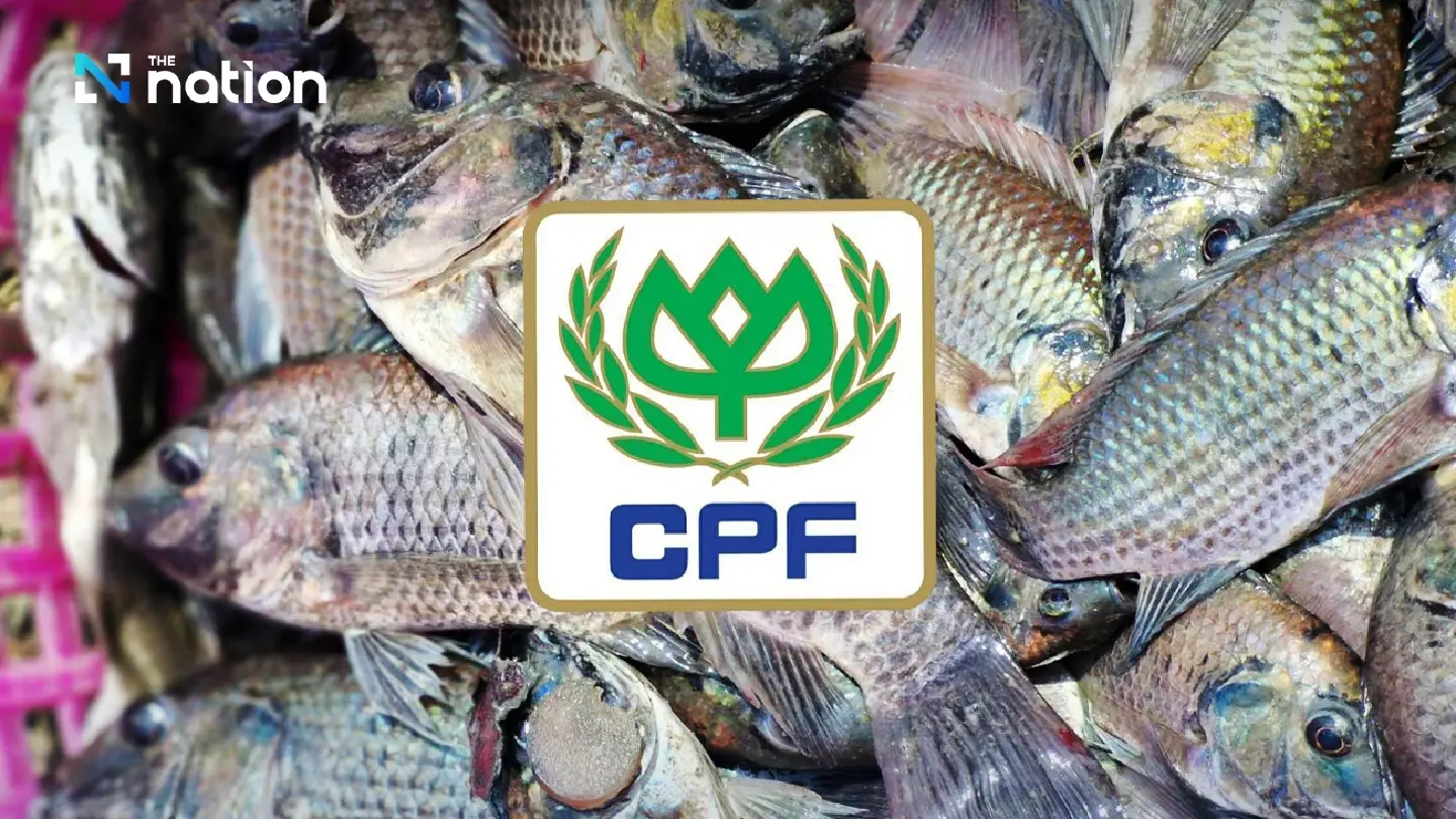 CP Foods denies being responsible for black chin tilapia crisis CP Foods denies being responsible for black chin tilapia crisis