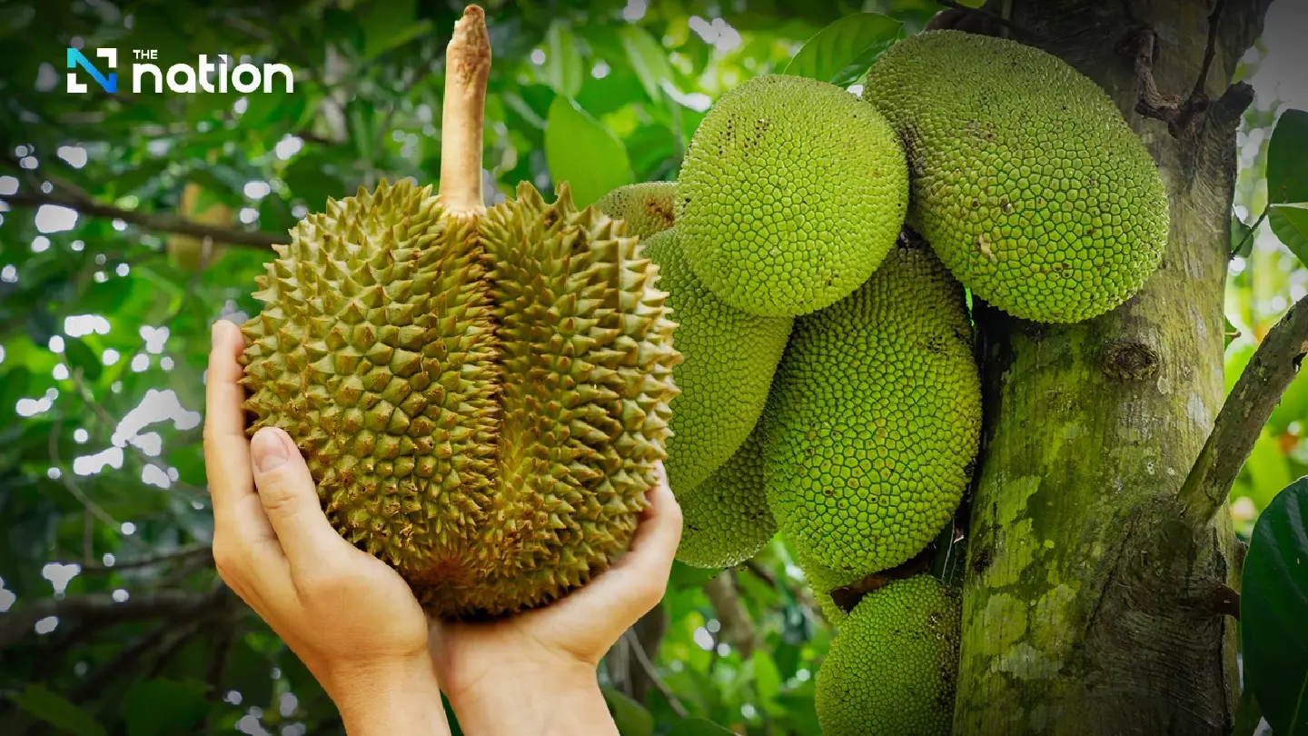 Goodbye graphene, hello durian