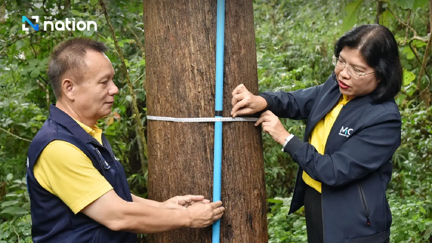 Farmers in Chiang Rai to be educated on use of perennial trees as collateral Farmers in Chiang Rai to be educated on use of perennial trees as collateral