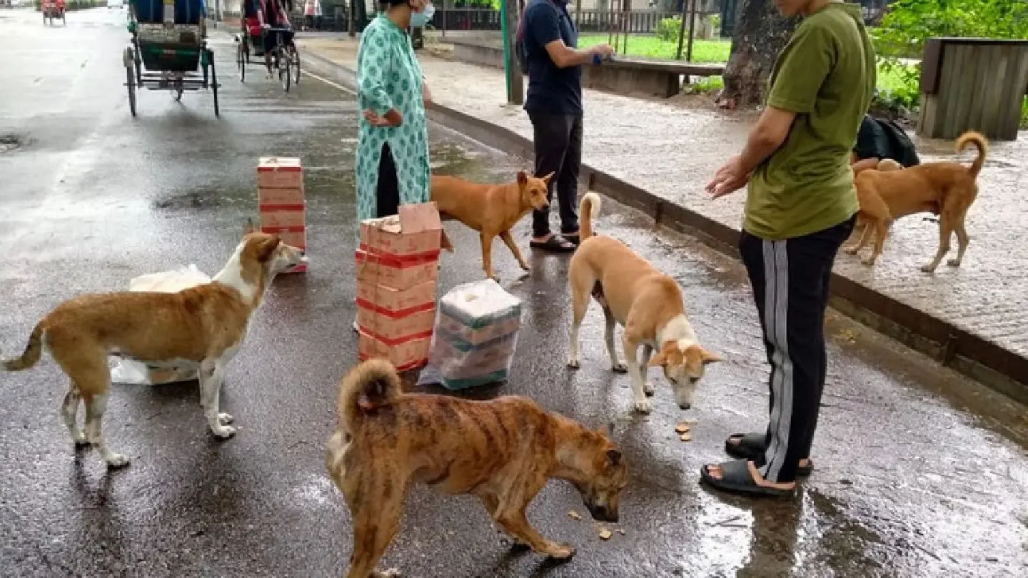 Kiko and friends: Unlikely heroes of Dhaka University’s student movement