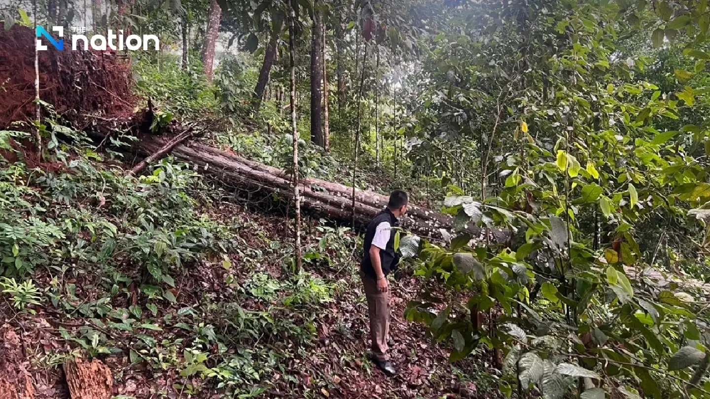 One killed, another injured in horrific Chiang Mai accident One killed, another injured in horrific Chiang Mai accident