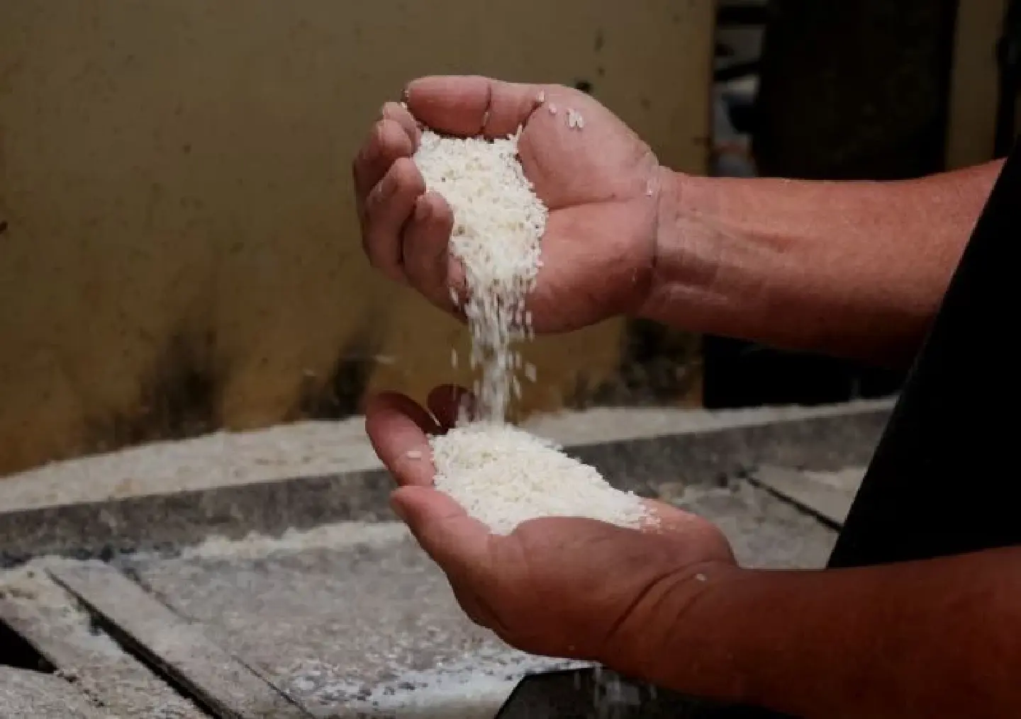 Prices of Vietnamese rice exports at world high Prices of Vietnamese rice exports at world high