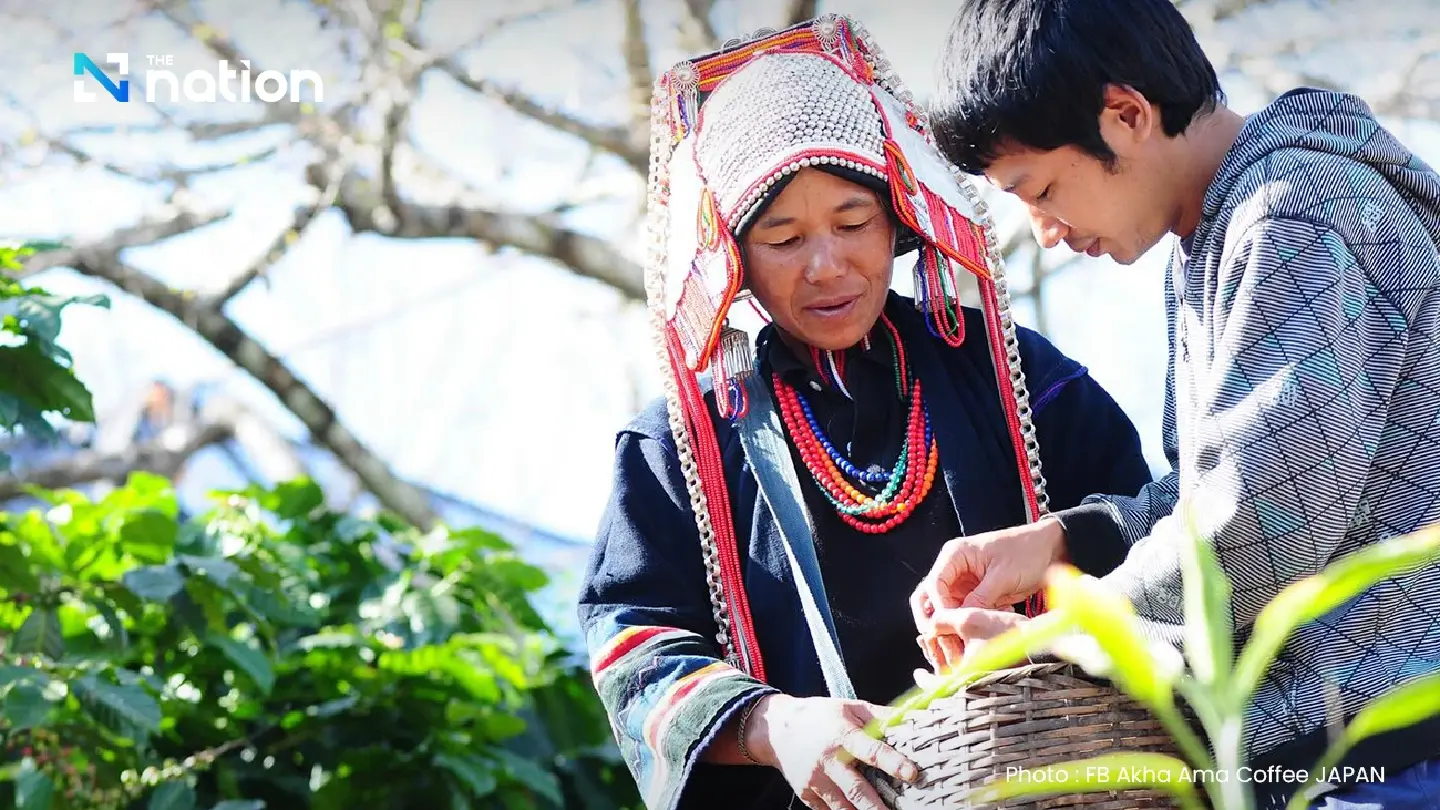 From hill tribe to the global stage: Lee Ayu Chuepa's coffee revolution