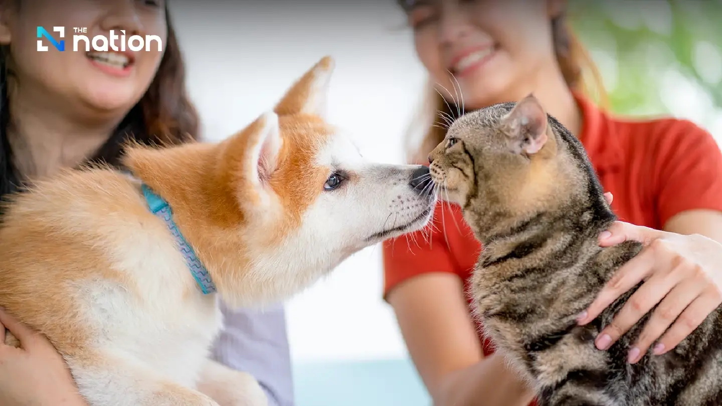 ‘Pet humanisation’ trend playing a big role in expanding Thailand’s pet market
