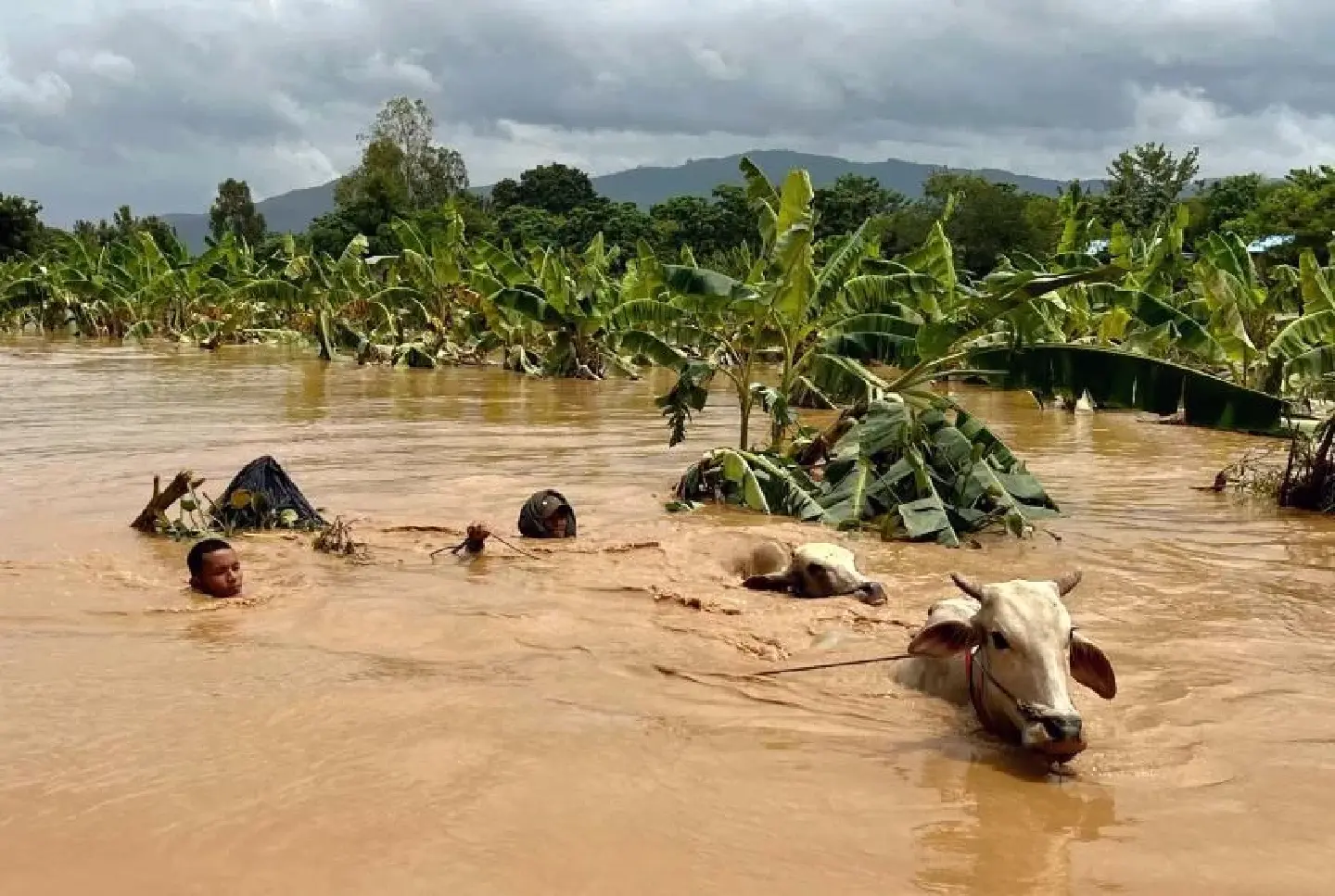 Floods in Myanmar leave 226 dead and 77 missing Floods in Myanmar leave 226 dead and 77 missing