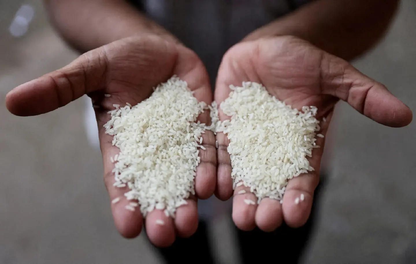 India allows non-basmati white rice exports in boost for global supplies