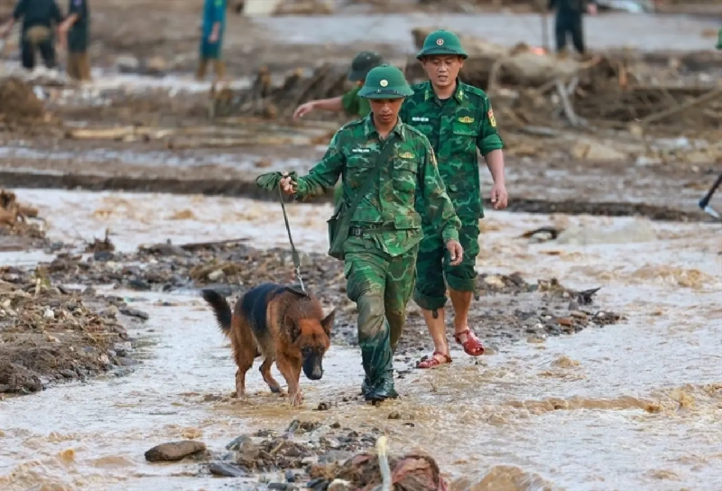Vietnam disaster leaves 336 dead or missing Vietnam disaster leaves 336 dead or missing