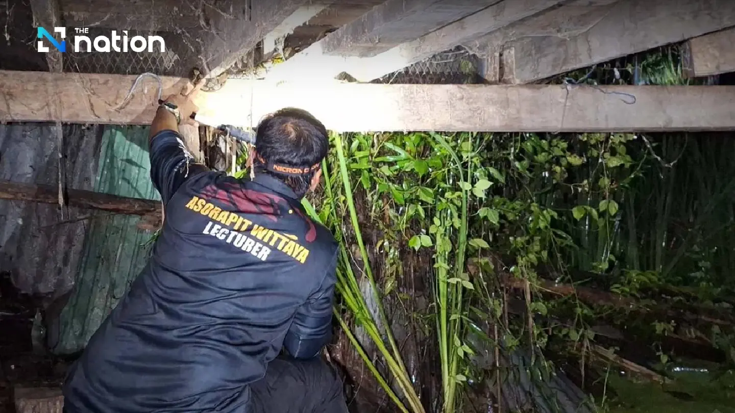 Herpetology team hunts down python that terrorised elderly woman