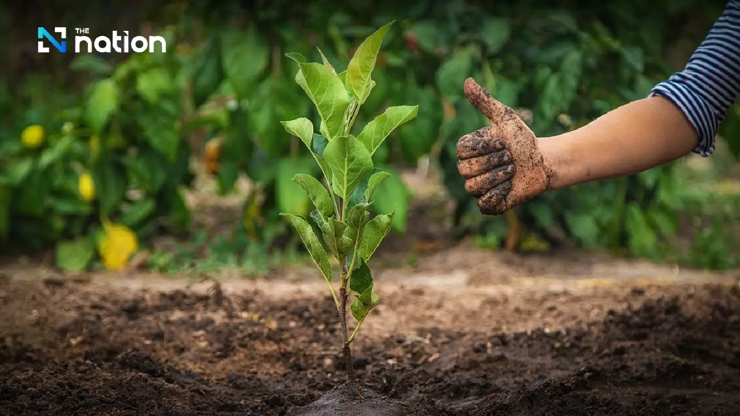 Reforestation can help Thailand honour Paris climate commitment