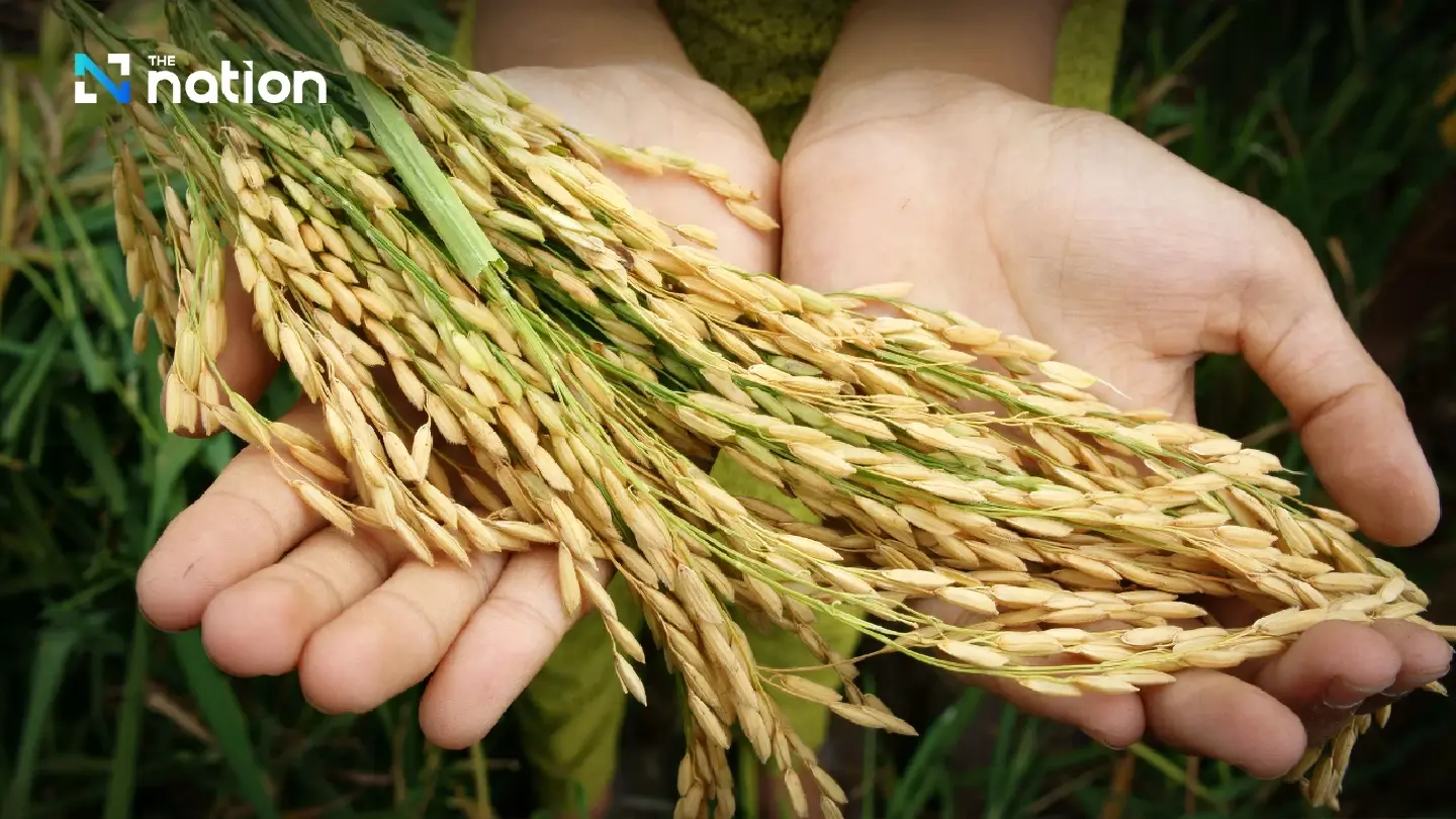 NESDC: Urgent reform needed for Thai agriculture, energy transition