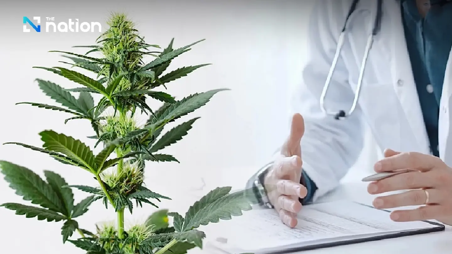 Businesses can rest assured govt will not reverse ganja policy again Businesses can rest assured govt will not reverse ganja policy again