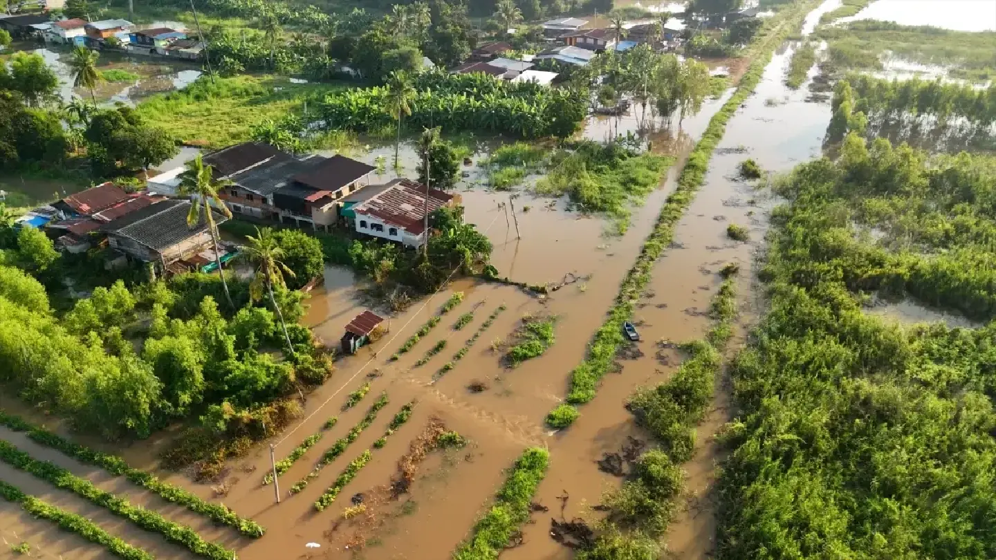 Chao Phraya overflows to flood village in Chai Nat Chao Phraya overflows to flood village in Chai Nat