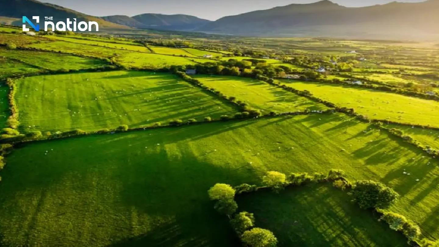 Irish agri-food agency aims to strengthen ties with Thailand