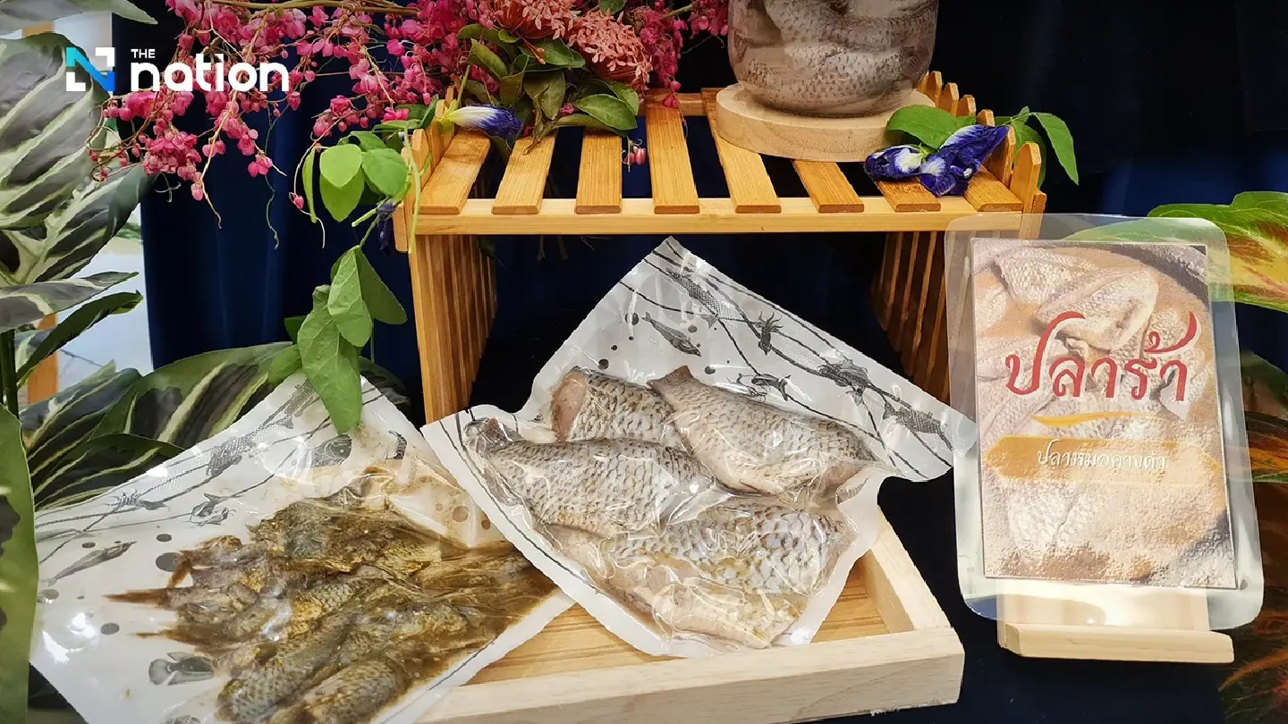 Fisheries Dept distributes 4.9m baht to 20 groups to make fermented blackchin