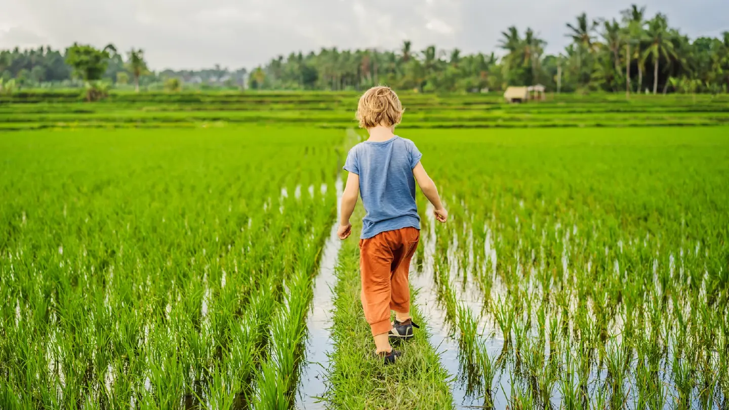 Farm Fun for All: Experience the Wonderful Fields of Thailand