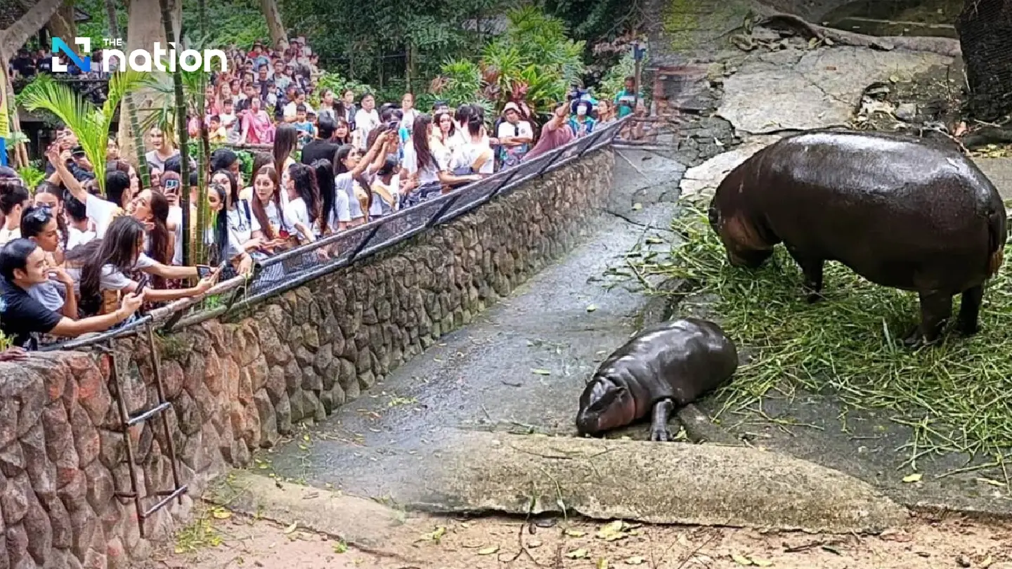 Beauties meet another beauty at Khao Kheow Zoo