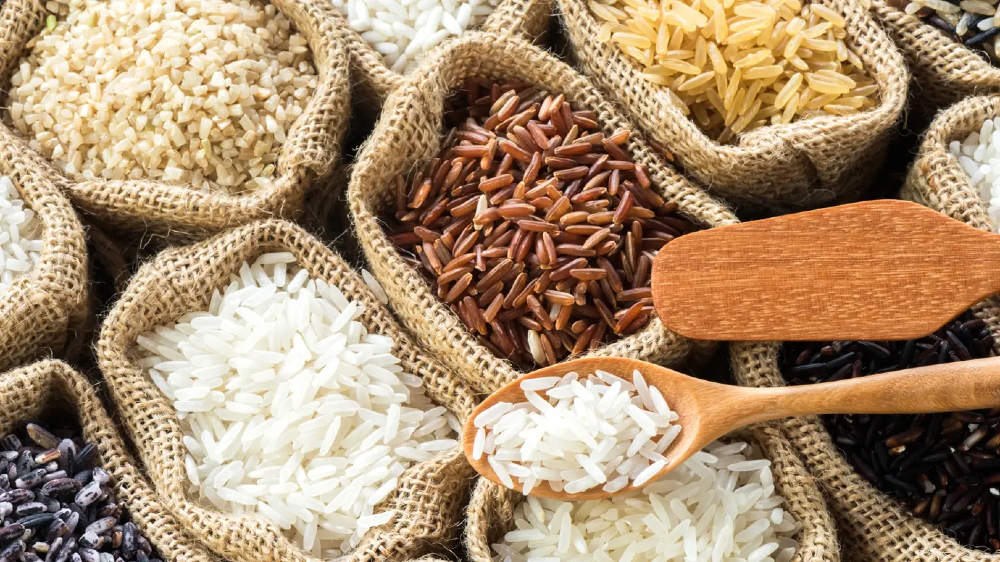 Rice Adventures from Sticky to Fragrant Across Thailand