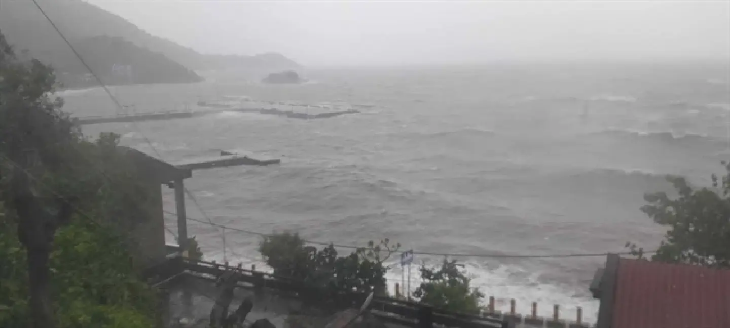 Typhoon Trami hits Vietnam's central coast with heavy rain and strong winds Typhoon Trami hits Vietnam's central coast with heavy rain and strong winds