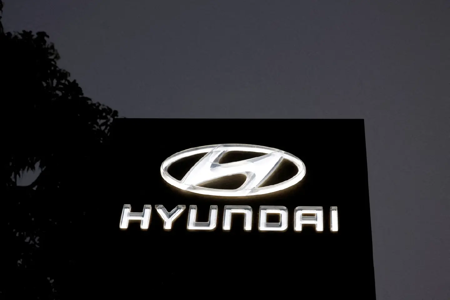 Hyundai recalls hydrogen cars over fire risk, urges owners to park outside Hyundai recalls hydrogen cars over fire risk, urges owners to park outside
