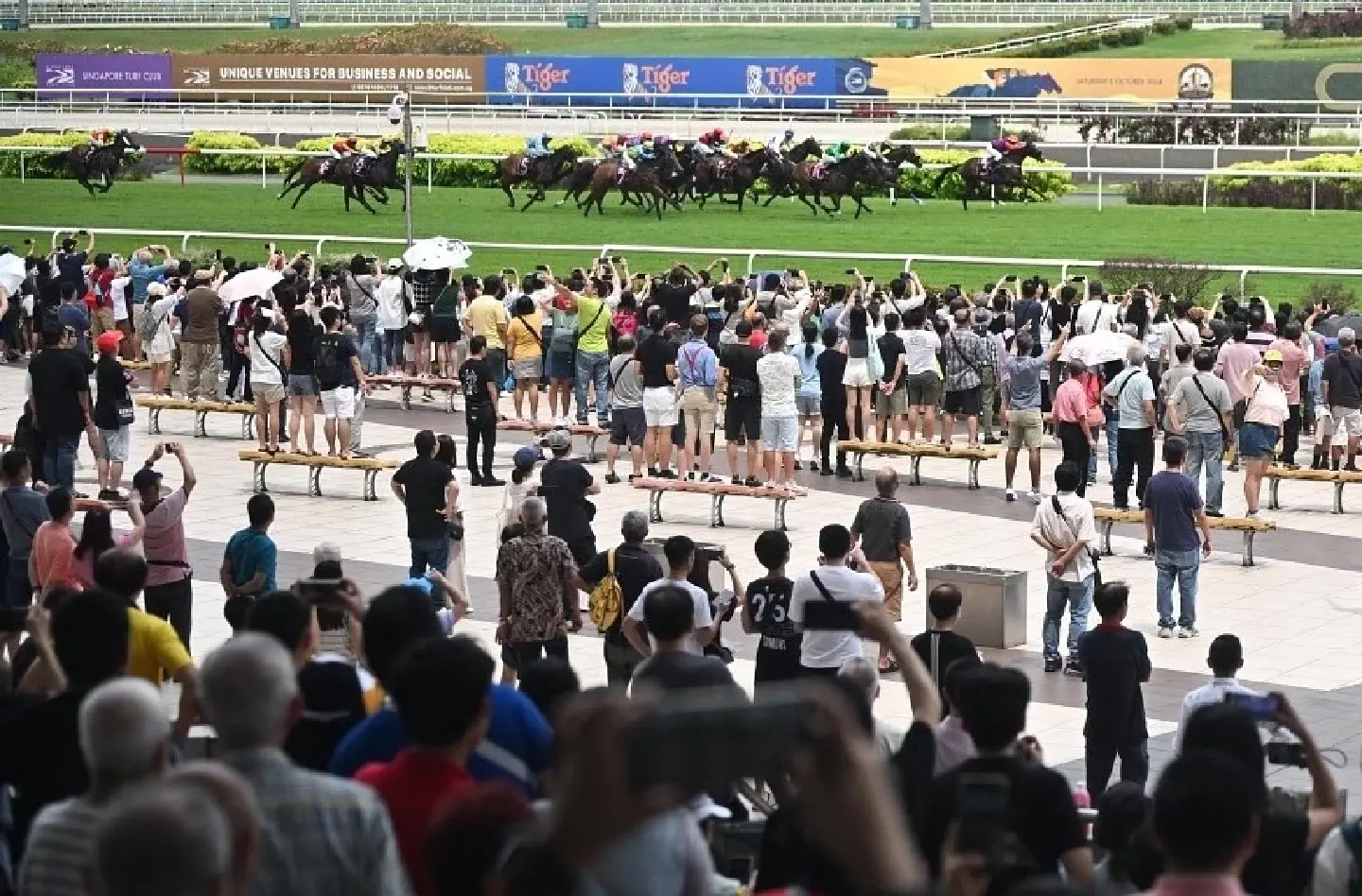 Thousands gather to witness final horse races at Singapore Turf Club