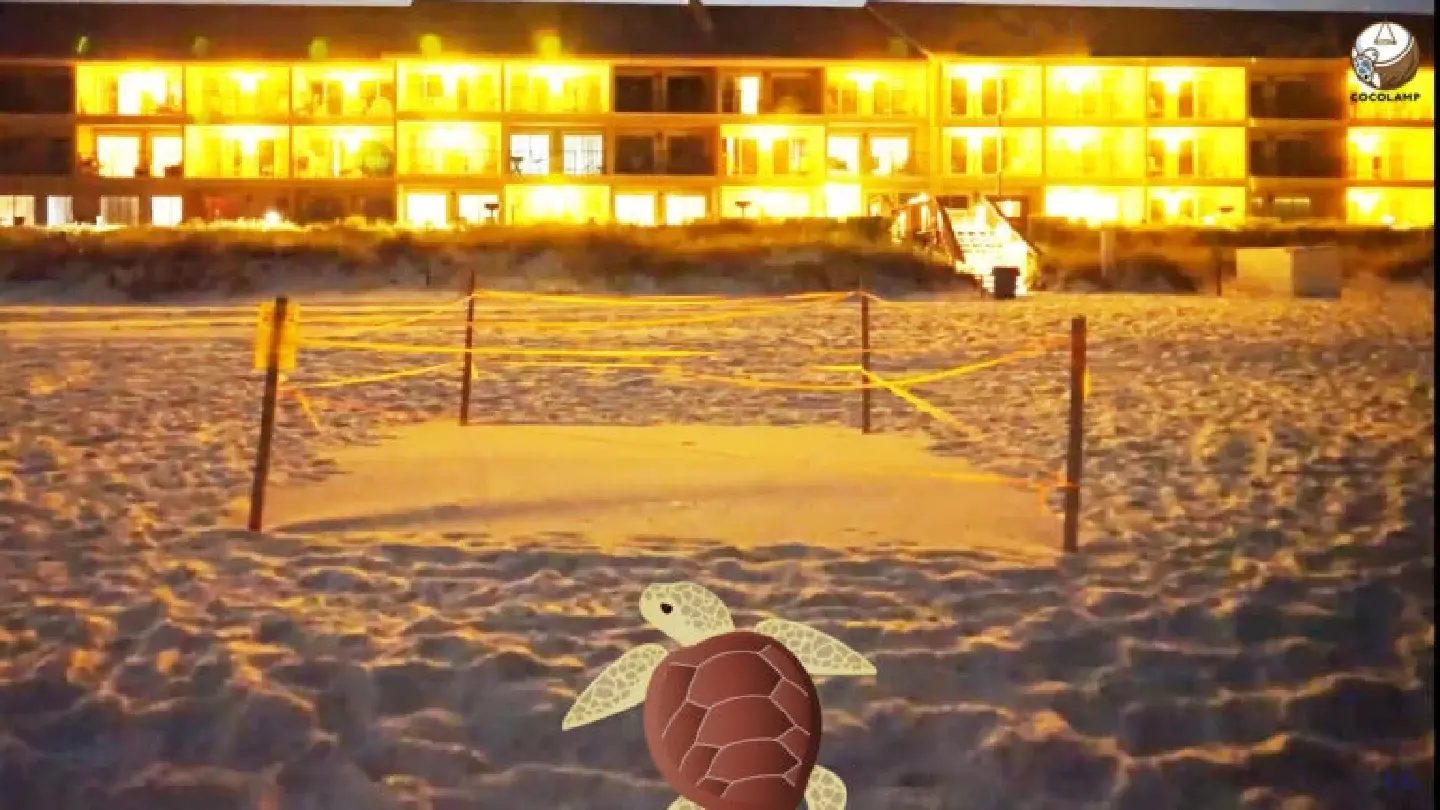 COCOLAMP saves lost baby sea turtles, innovated by Chulalongkorn students