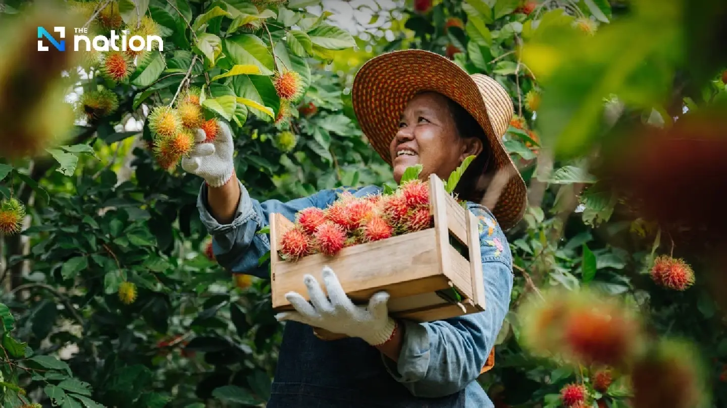 Minister of commerce reports successful year for fruit sector