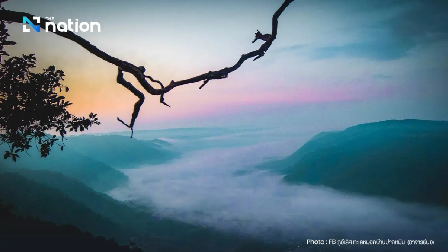 Sea of fog delights tourists at Phu E-Lert mountain in Loei