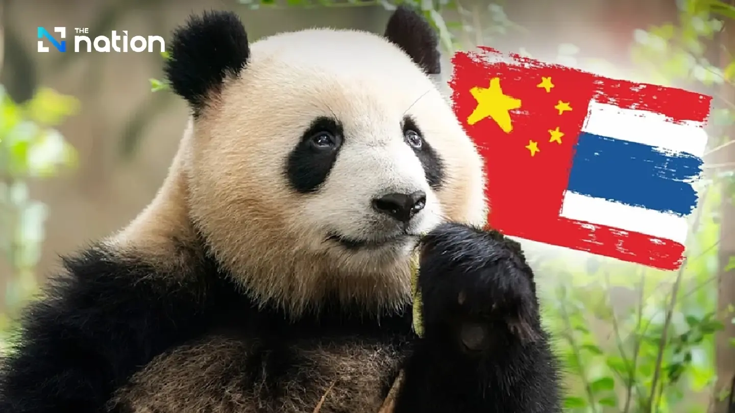 Panda diplomacy: China to send new pair to mark 50 years of ties