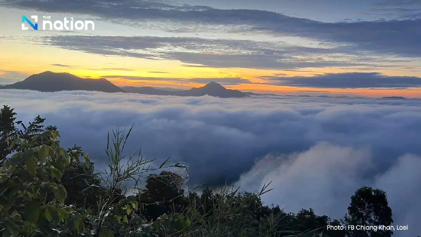 Phu Thok mountain is drawing numerous tourists this winter Phu Thok mountain is drawing numerous tourists this winter