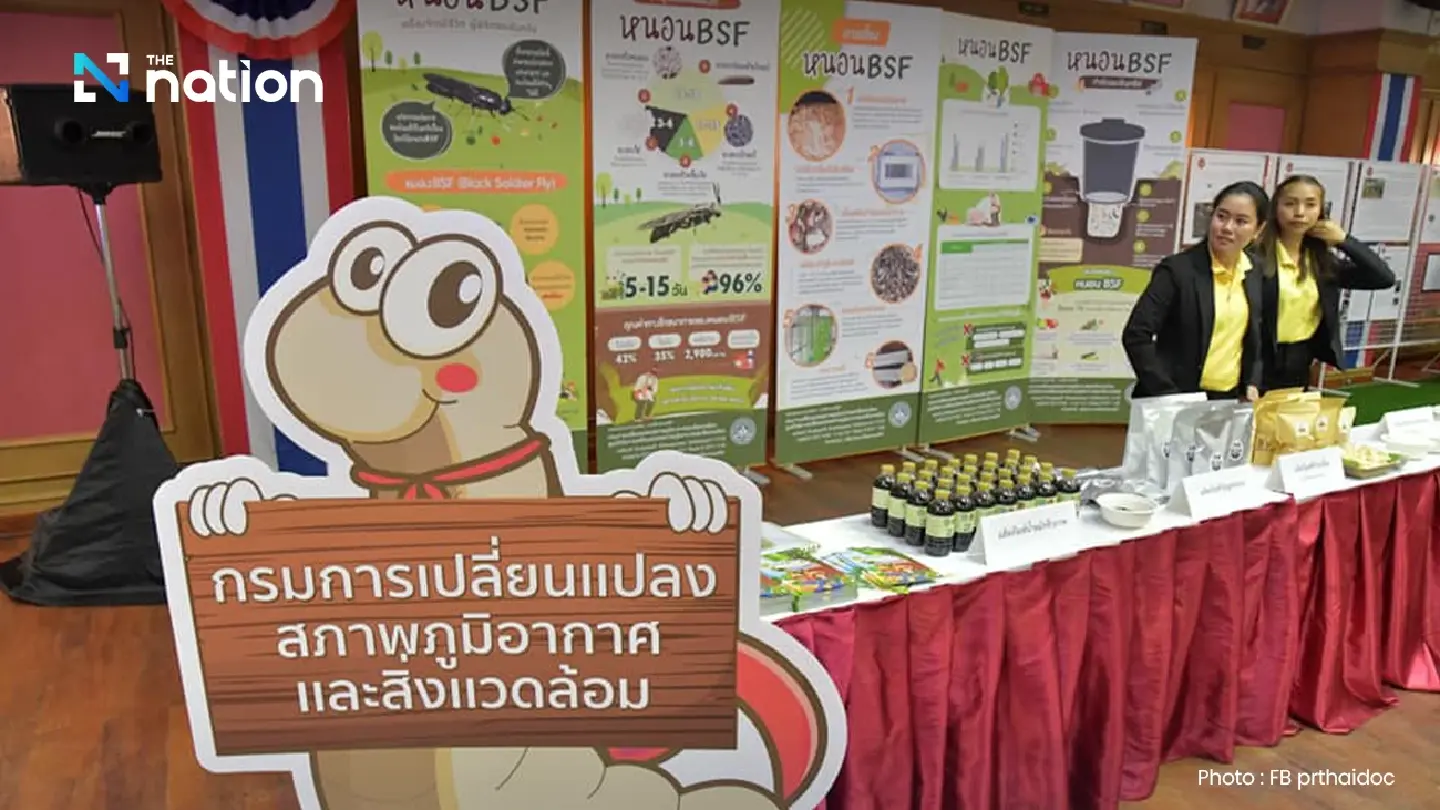 A larvae offers a sustainable way to  manage organic waste