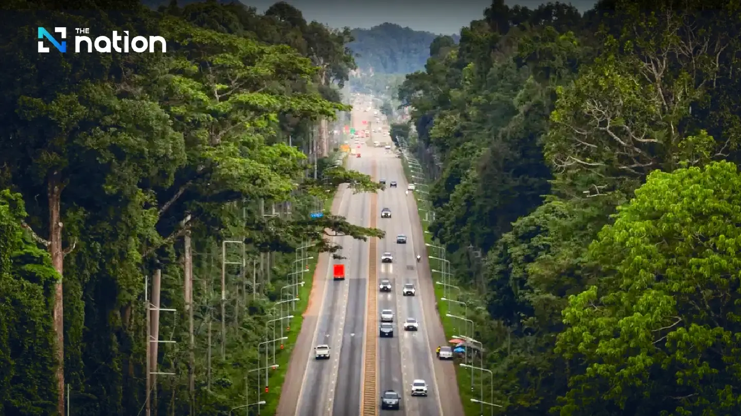 Travellers invited to enjoy ‘Ozone Forest Road’ Travellers invited to enjoy ‘Ozone Forest Road’