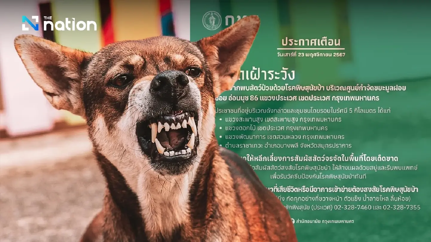 Rabies outbreak confirmed in Bangkok’s Soi Onnut 86 Rabies outbreak confirmed in Bangkok’s Soi Onnut 86