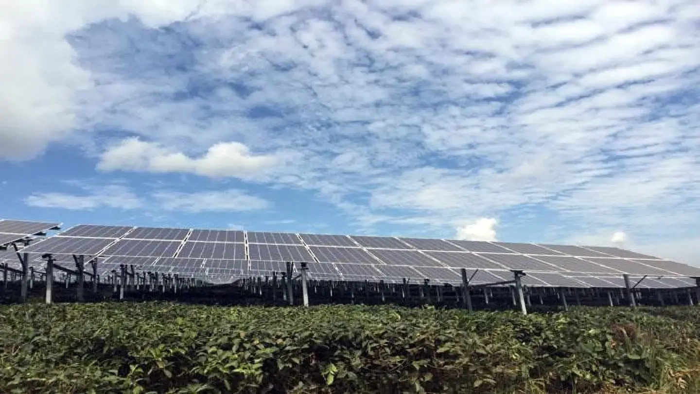 Bridging agriculture and renewable energy