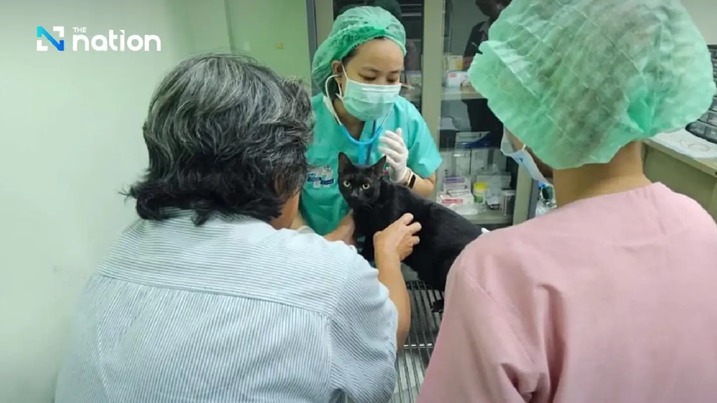 Public outcry of animal cruelty lands Thai TV series in hot water Public outcry of animal cruelty lands Thai TV series in hot water