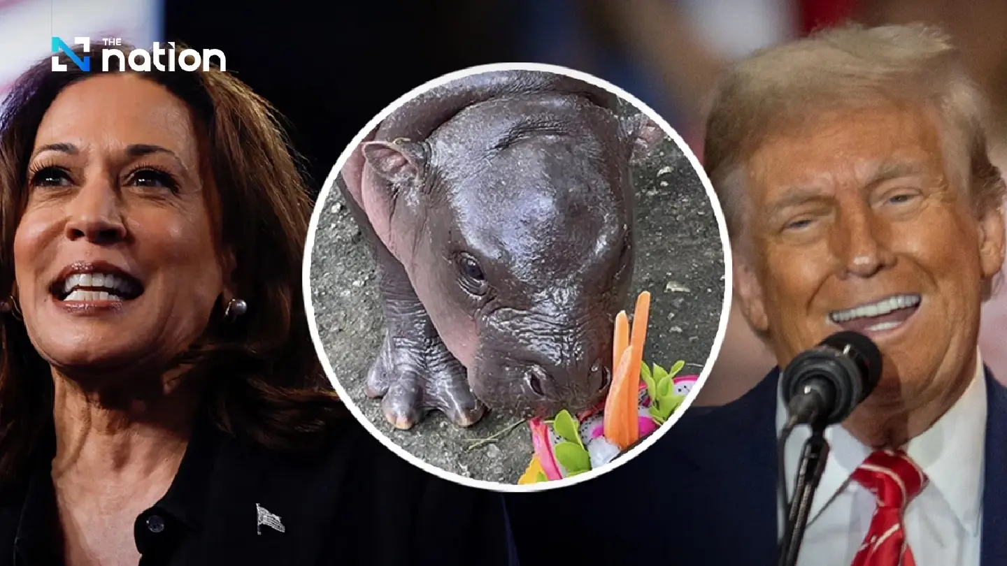 Thai pygmy hippo makes bold US election prediction