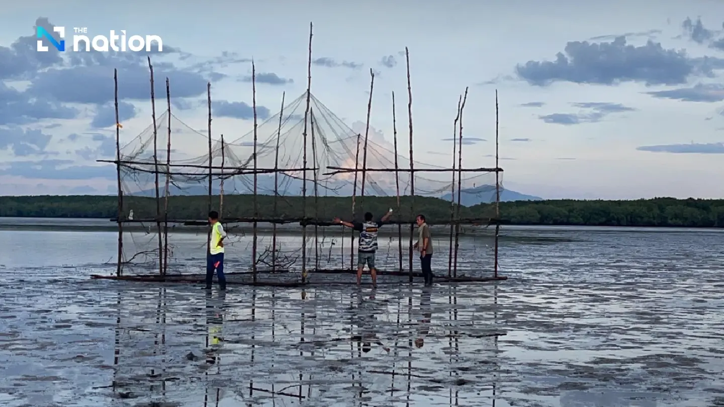 Barrier experiment spurs hope for seagrass recovery in Trang