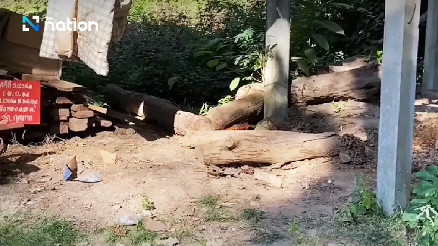 Forestry protection officers attacked, valuable rosewood logs stolen