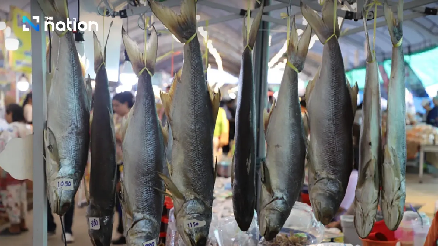 Mackerel magic takes centre stage at Samut Sakhon festival Mackerel magic takes centre stage at Samut Sakhon festival
