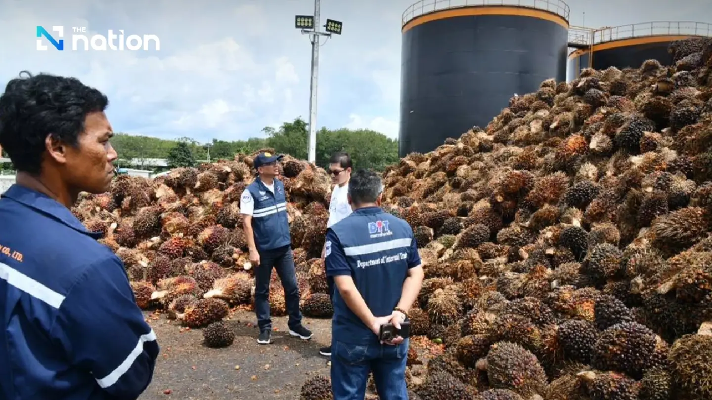 Monitoring in South intensified to prevent smuggling of palm oil Monitoring in South intensified to prevent smuggling of palm oil