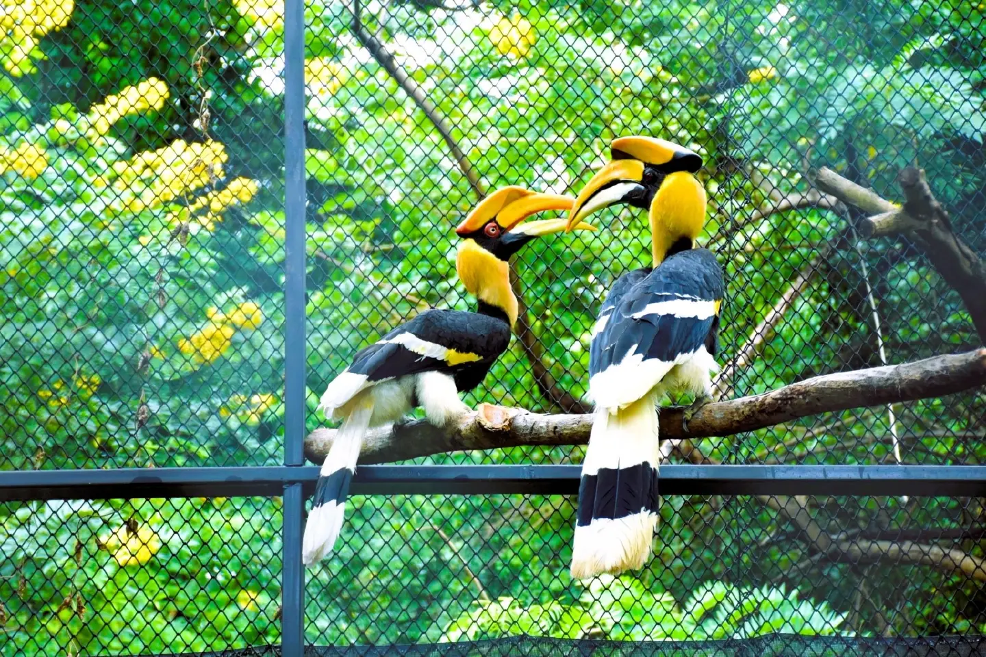 BSRC, GISTDA, and Zoo Organization unite to boost biodiversity via geotech BSRC, GISTDA, and Zoo Organization unite to boost biodiversity via geotech