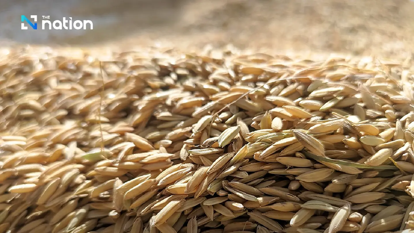 Thai rice exports face pressure as India lifts export ban Thai rice exports face pressure as India lifts export ban