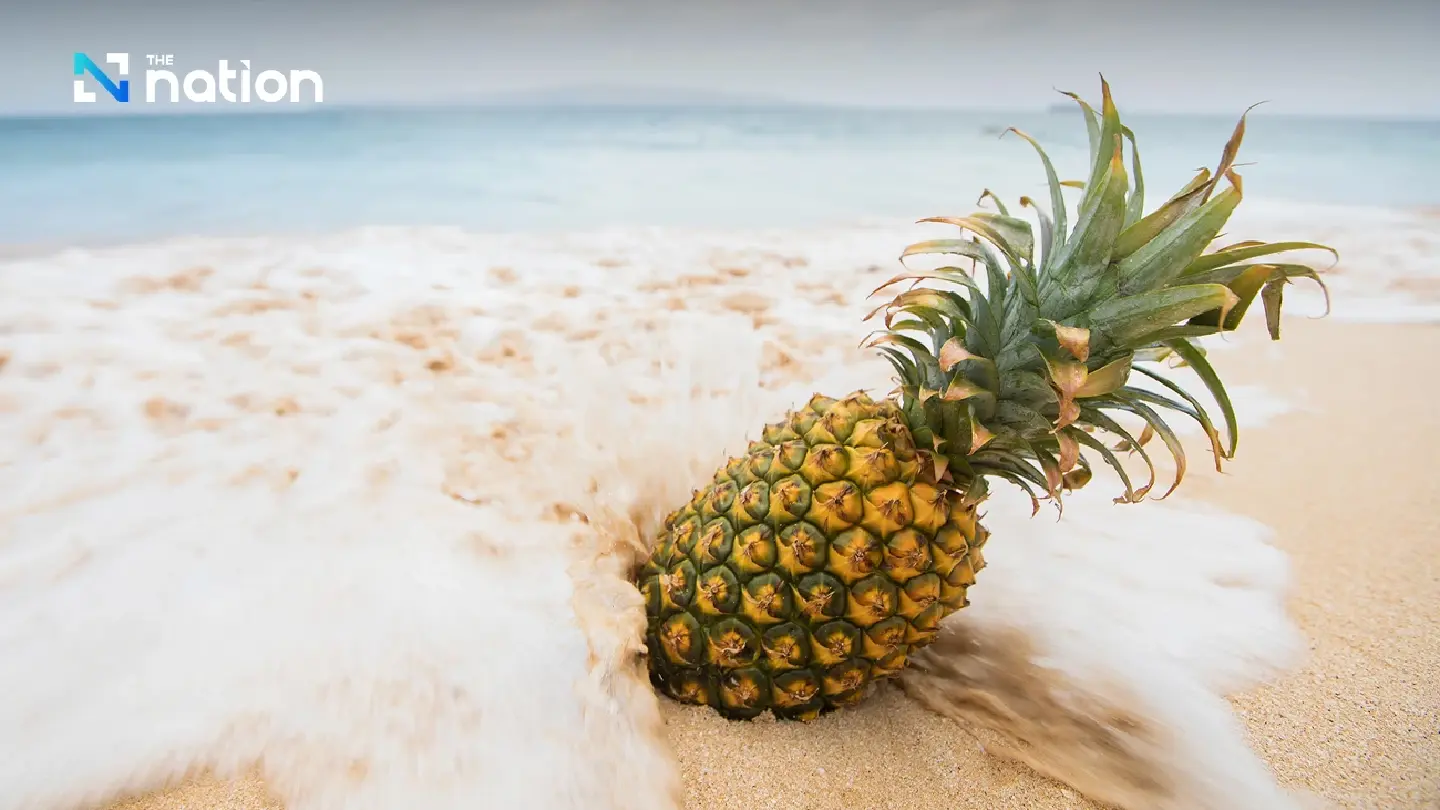Phuket enterprise turns local pineapples into highly sought lucky item