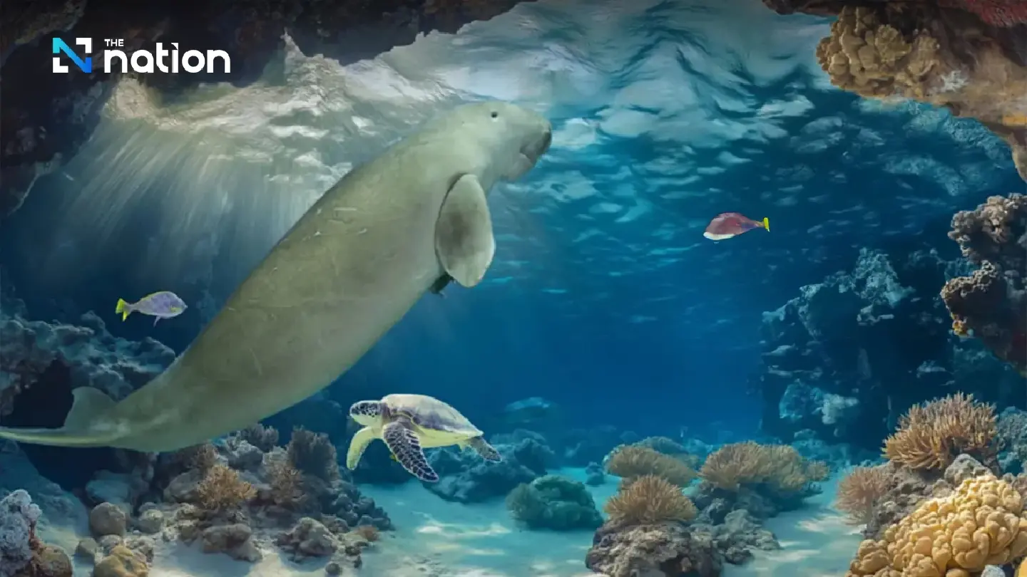 Thailand’s top global warming victims in 2024: Dugongs and coral