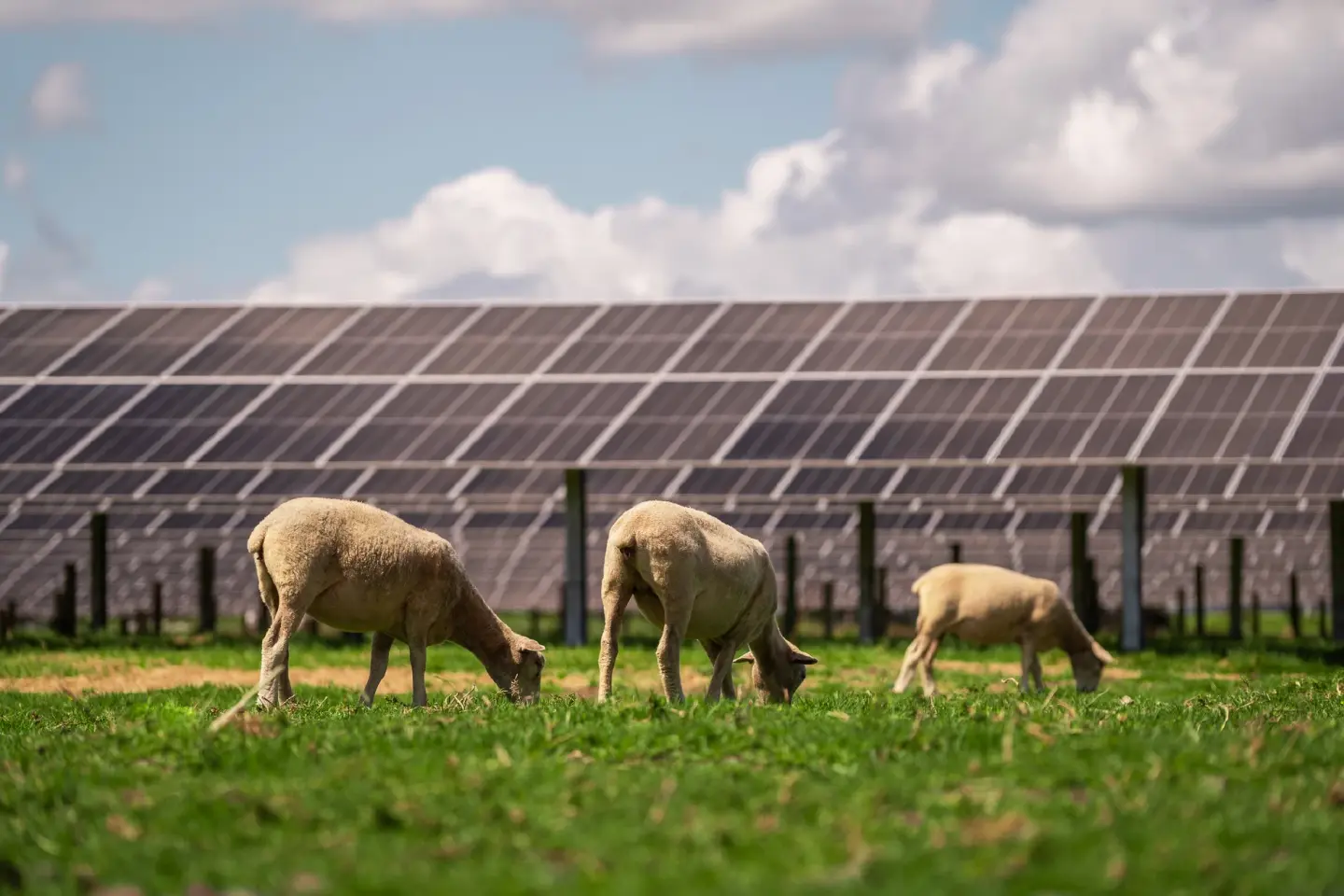Powering the future: Five solar energy trends to watch in 2025